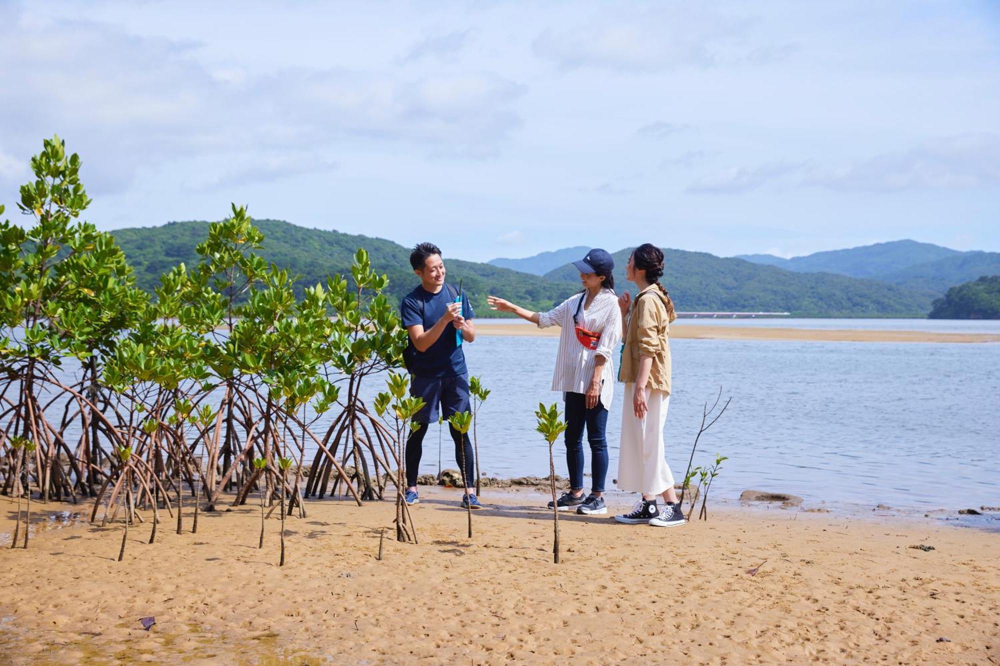 Iriomote Hotel By Hoshino Resorts Urauchi Εξωτερικό φωτογραφία